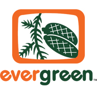 evergreen